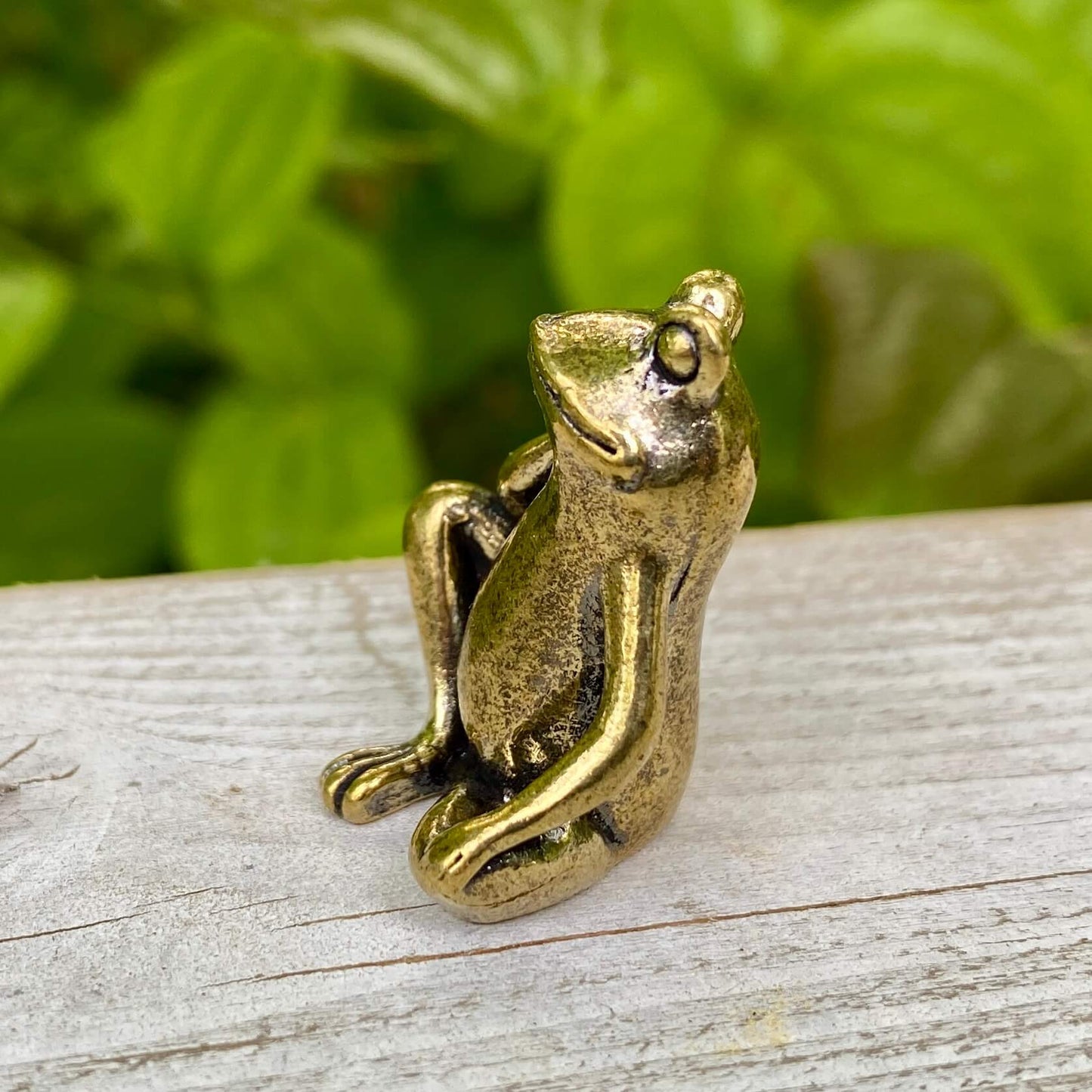 Solid Brass Frog – Symbol of Transformation, Renewal & Luck